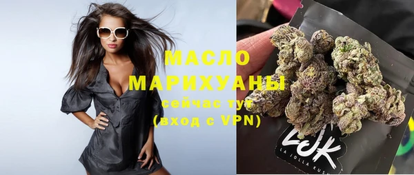 шишки Надым