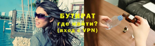 шишки Надым
