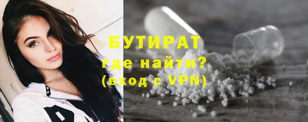 шишки Надым