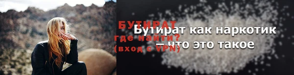 шишки Надым