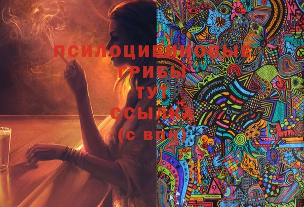мдпв Абинск