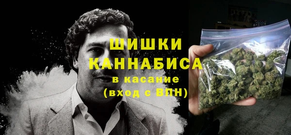 бошки Алексин