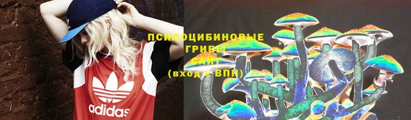 бошки Алексин