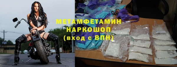 шишки Надым
