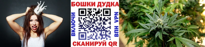 Канабис Bruce Banner Шали